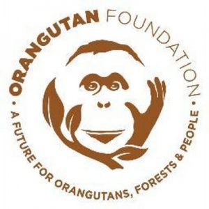 Orangutan Foundation (LSM Internasional)