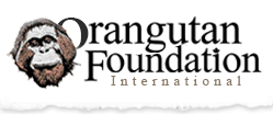 Orangutan Fondation Internasional (LSM Internasional)